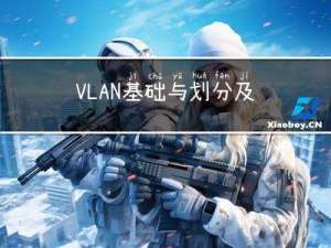VLAN 基础与划分及配置
