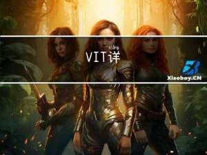 ViT/vit/VIT详解