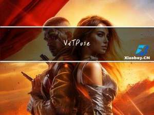 ViTPose