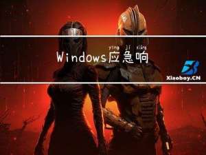 Windows应急响应 -Windows日志排查，系统日志，Web应用日志，