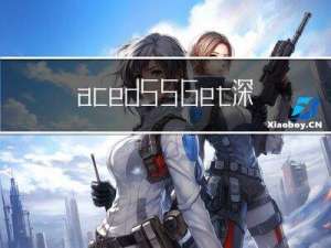 acedSSGet深度解析