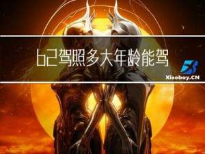 b2驾照多大年龄能驾驶