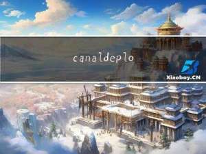 canal deployer 包  canal adapter 包 参数详解