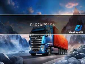 checkpoint参数设置