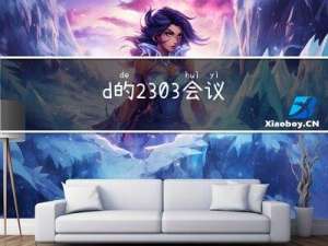 d的2303会议