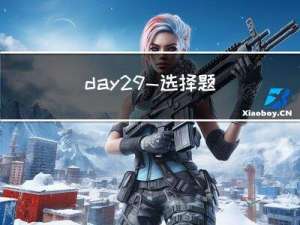 day29—选择题