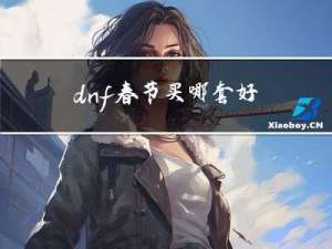 dnf春节买哪套好