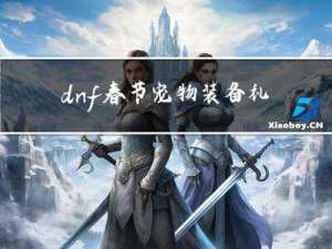 dnf春节宠物装备礼盒