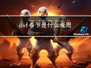 dnf春节是什么意思