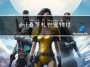 dnf春节礼包宠物技能