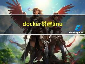 docker搭建linux网络代理