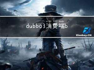 dubbo3消费端bean字段名称引发的问题-dubbo2.7升级到dubbo3系列