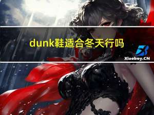 dunk鞋适合冬天行吗