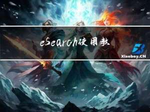 eSearch使用教程大全