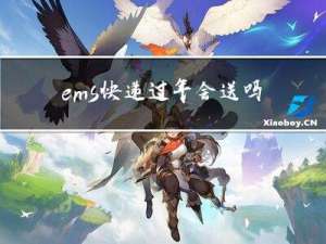 ems快递过年会送吗