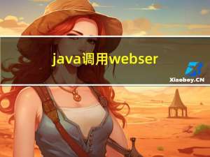 java调用webservicer的方法