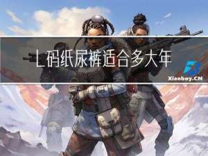 l码纸尿裤适合多大年龄