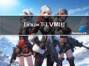 linux下LVM出现lock问题