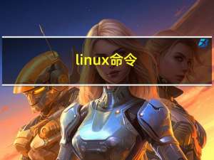linux命令---- ls