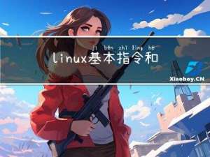 linux基本指令和权限