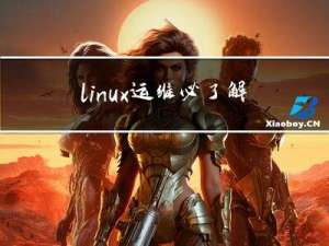 linux运维必了解的日志文件系统