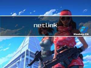 netlink