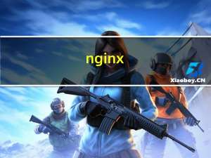 nginx (uos)