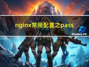 nginx 常用配置之 pass_proxy