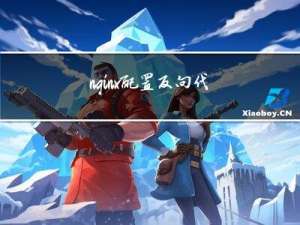 nginx配置反向代理地址