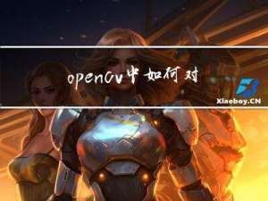 opencv 中如何对多个运动目标进行跟踪及统计？