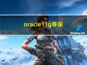 oracle 11g等保加固