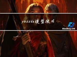 paddle 模型使用