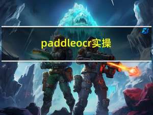 paddleocr 实操笔记 （前向后梳理）