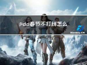 pdd春节不打烊怎么取消