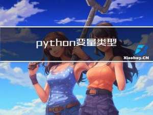 python 变量类型标注