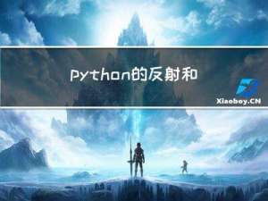 python的反射和异常处理