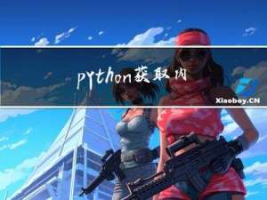 python --获取内网IP地址