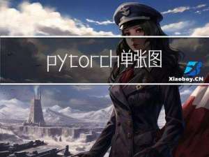 pytorch单张图片预测，如何代替DataLoader