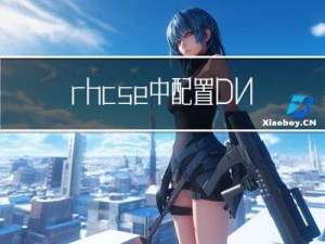 rhcse中配置DNS的正反向解析