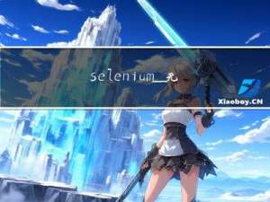 selenium_无头浏览器