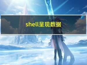shell呈现数据