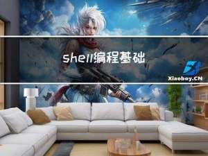 shell编程基础