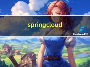 springcloud-02