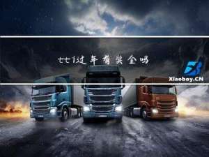 tti过年有奖金吗