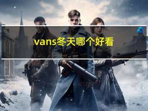 vans冬天哪个好看