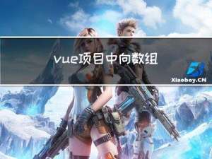 vue 项目中 向数组 添加元素 的方式
