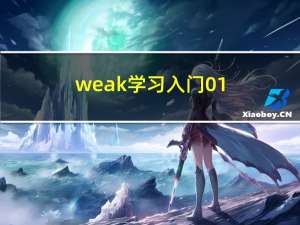 weak学习入门-01