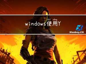 windows使用YOLOv8训练自己的模型（0基础保姆级教学）