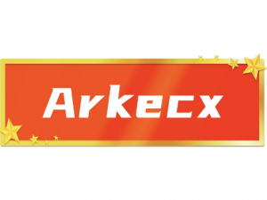 Arkecx：全场6折特惠，香港/新加坡/印度/越南/泰国/菲律宾/马来西亚等VPS（解锁TIKTOK、Netflix、原生IP、全球29个机房可选）