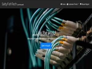 SaltyfishTech最新优惠 香港CMI VPS月付8美元起